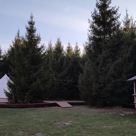 Kuusehaldja Glamping * Kohila