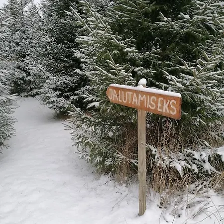 Kuusehaldja Glamping * Kohila