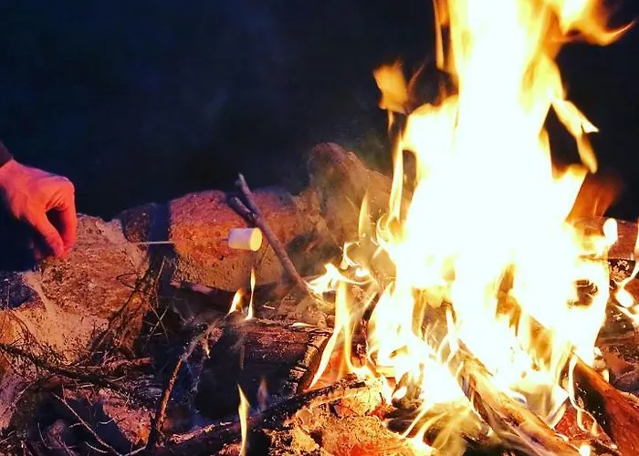 خيمة فخمة Kuusehaldja Glamping *