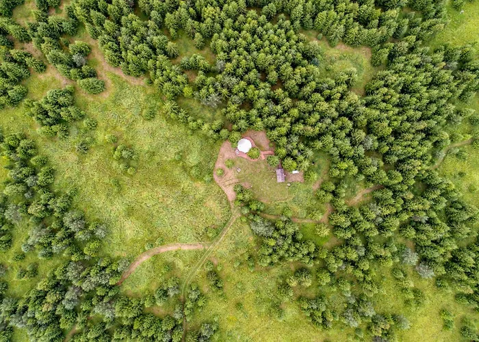 Kuusehaldja Glamping